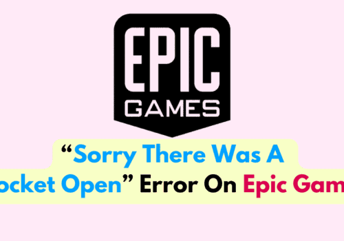 How To Fix Sorry There Was A Socket Open Error On Epic Games 8 How To Fix Sorry There Was A Socket Open Error On Epic Games
