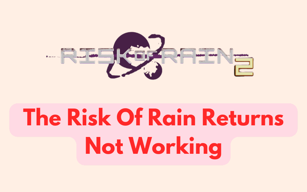 How To Fix The Risk Of Rain Returns Not Working