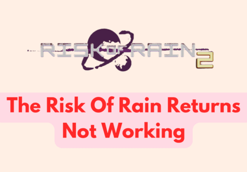 How To Fix The Risk Of Rain Returns Not Working