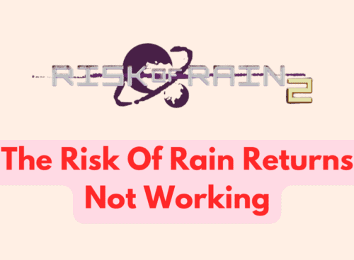 How To Fix The Risk Of Rain Returns Not Working