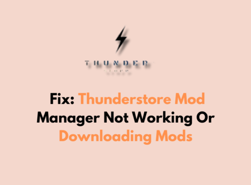 How To Fix Thunderstore Mod Manager Not Working Or Downloading Mods