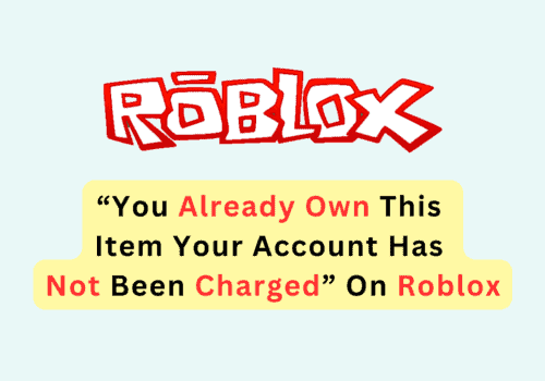 How To Fix You Already Own This Item Your Account Has Not Been Charged On Roblox