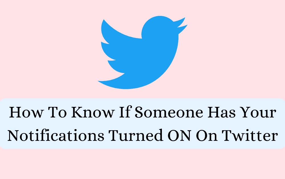 How To Know If Someone Has Your Notifications Turned ON On Twitter