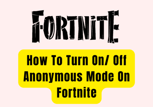 How To Turn On Off Anonymous Mode On Fortnite