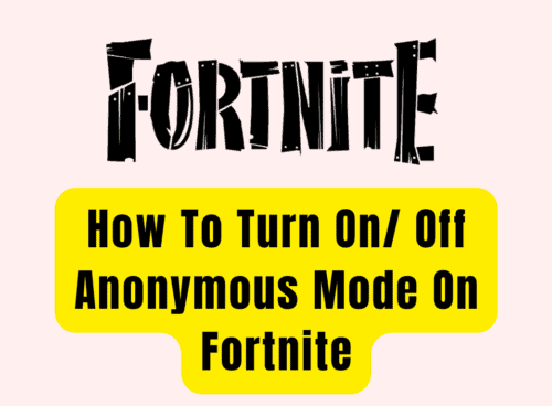 How To Turn On Off Anonymous Mode On Fortnite