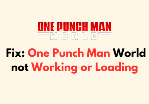How to Fix One Punch Man World not Working or Loading 1