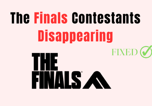 How to Fix The Finals Contestants Disappearing