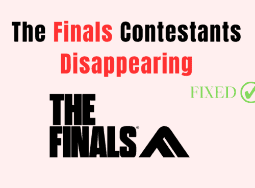 How to Fix The Finals Contestants Disappearing
