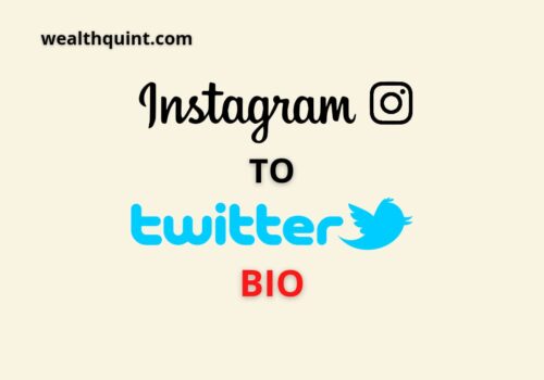 Instgaran to twitter bio