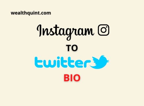 Instgaran to twitter bio