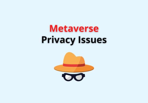 Metaverse privacy issues
