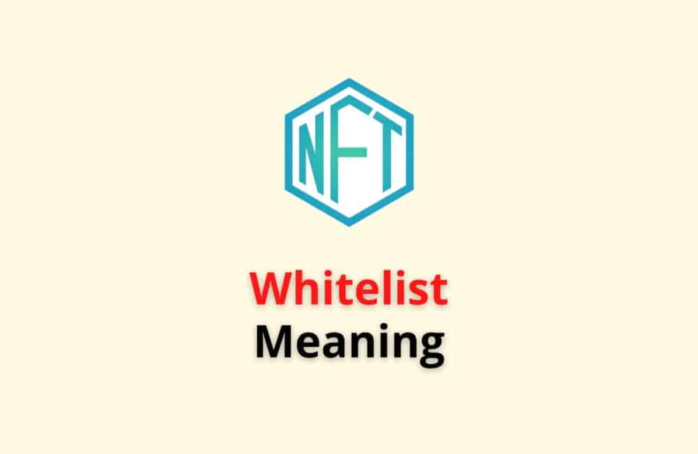 NFT Whitelisting Meaning
