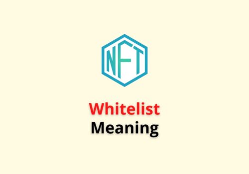 NFT Whitelisting Meaning