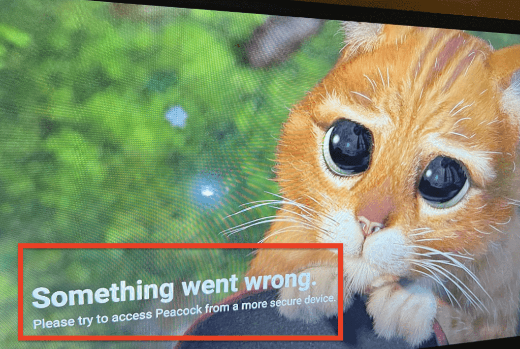 How to Fix Please Try To Access Peacock From A More Secure Device 1 Please Try To Access Peacock From A More Secure Device