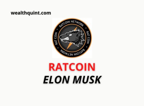 Ratcoin Elon Musk