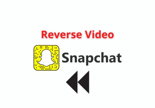Reverse Video Snapchat