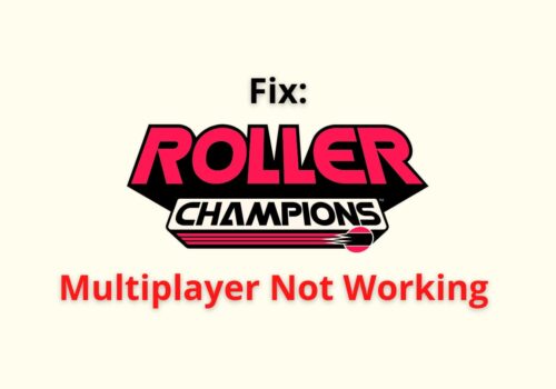 Roller Champions Multiplayer Not Working