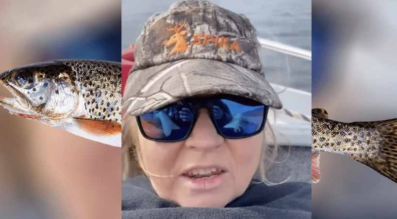 Did Trout Lady Kill Herself - Wealth Quint