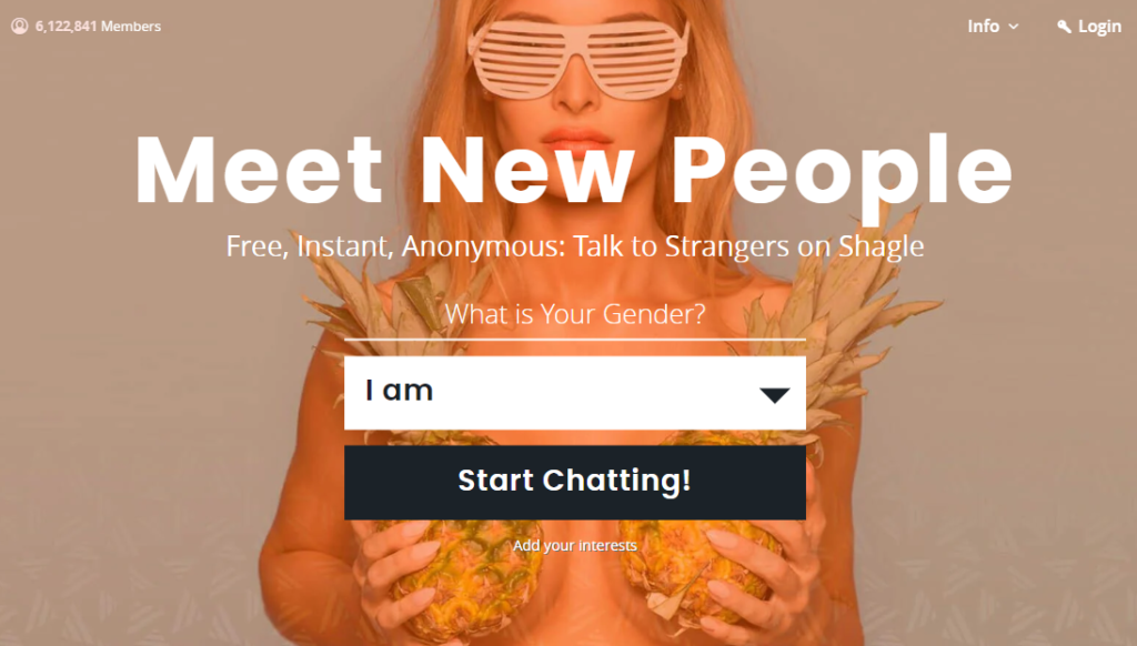 Best ChatHub Alternatives 7 Shagle Best ChatHub Alternatives