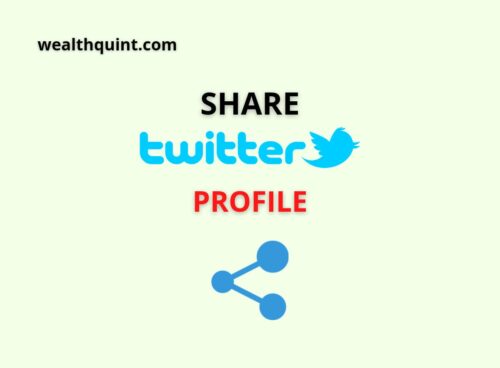 Share twitter profile
