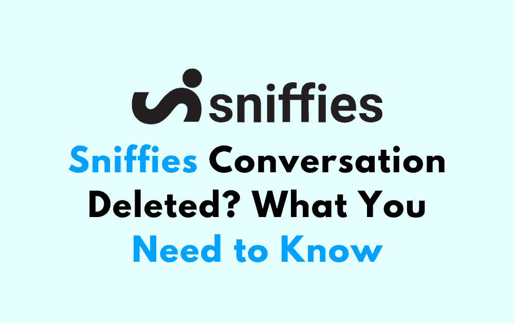 Sniffies Conversation Deleted What You Need to Know