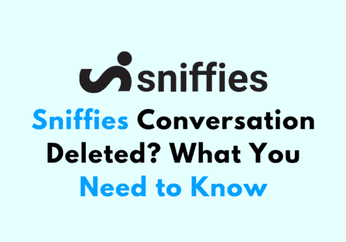 Sniffies Conversation Deleted What You Need to Know