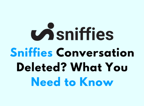 Sniffies Conversation Deleted What You Need to Know