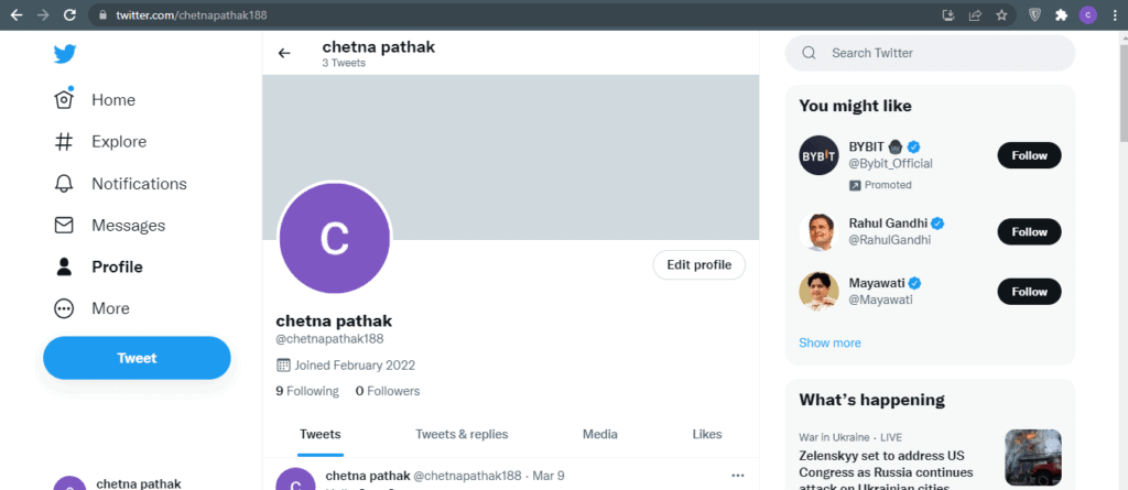 blank twitter profile