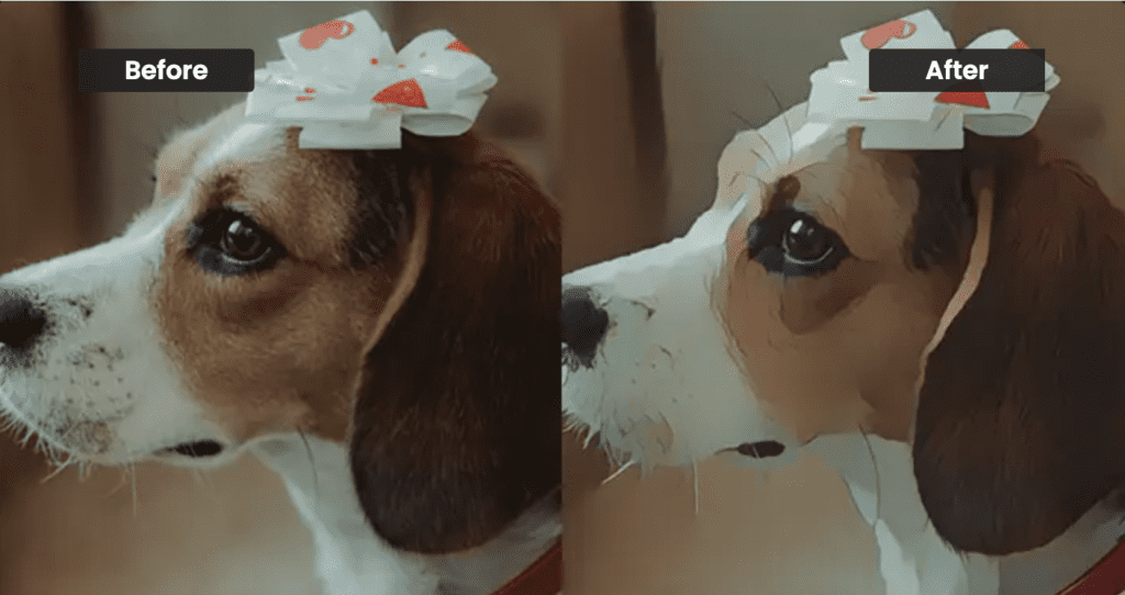8 Best AI Anime Generators From Photo 6 VanceAI Toongineer Cartoonizer