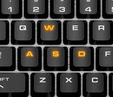 How To Fix Roblox WASD Not Working 2 WASD is not working in Roblox 1