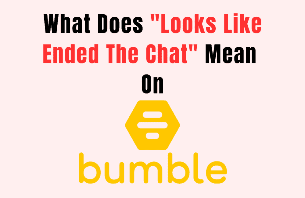 What Does "Looks Like Ended The Chat" Mean on Bumble 1 What Does Looks Like Ended The Chat Mean on Bumble
