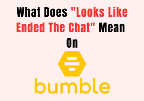 What Does Looks Like Ended The Chat Mean on Bumble