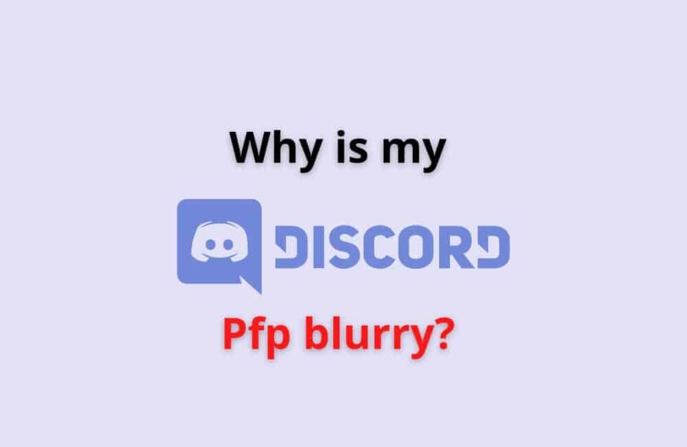 Why Is Your Discord PFP Blurry? 1 Why Is Your Discord PFP Blurry