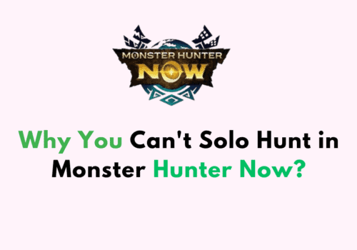 Why You Cant Solo Hunt in Monster Hunter Now