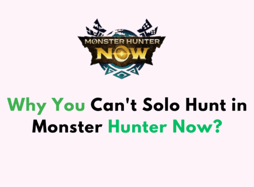 Why You Cant Solo Hunt in Monster Hunter Now