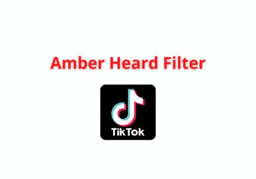 amber heard filter tiktok