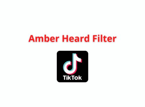 amber heard filter tiktok
