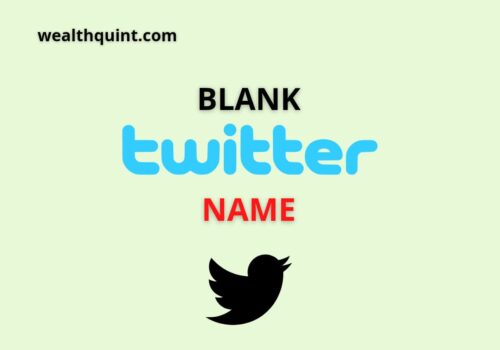 blank twitter name