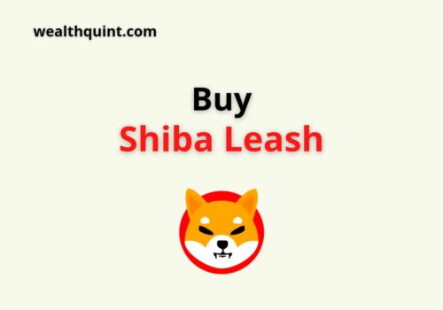 buy Shiba Leash