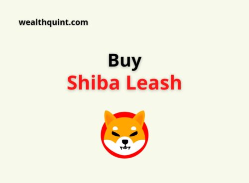 buy Shiba Leash