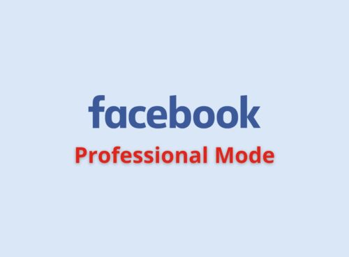 facebook professional mode