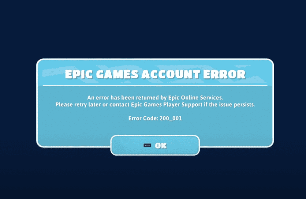 fall Guys error epic games 200_001