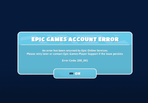fall Guys error epic games 200_001