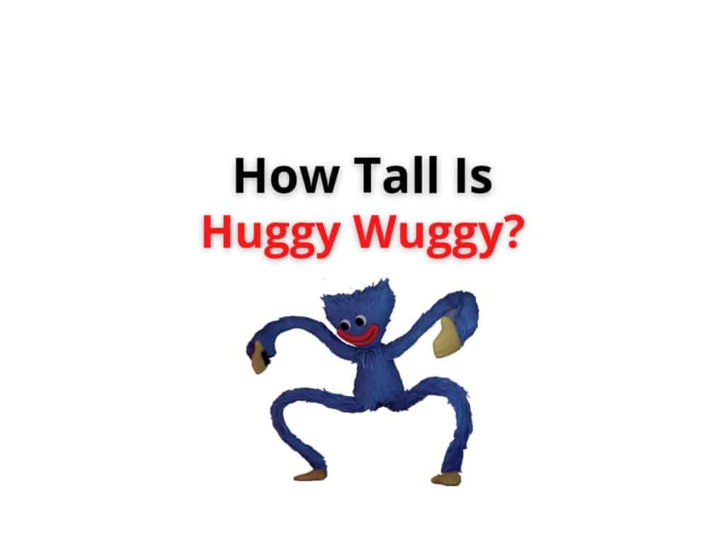 How Tall Is Huggy Wuggy? 2022 - Wealth Quint