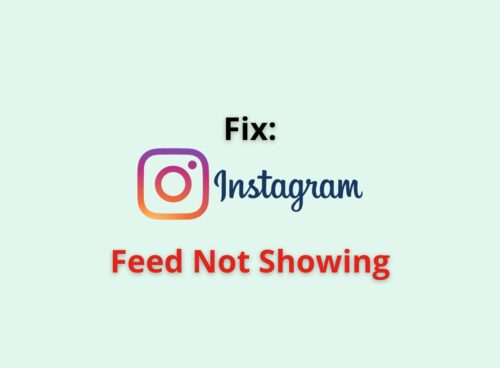 instagram feed not showing