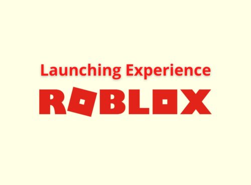launching expereience roblox