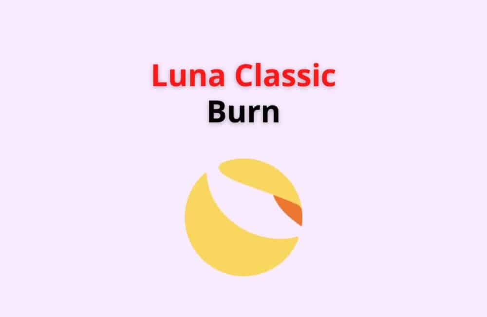 luna classic burn