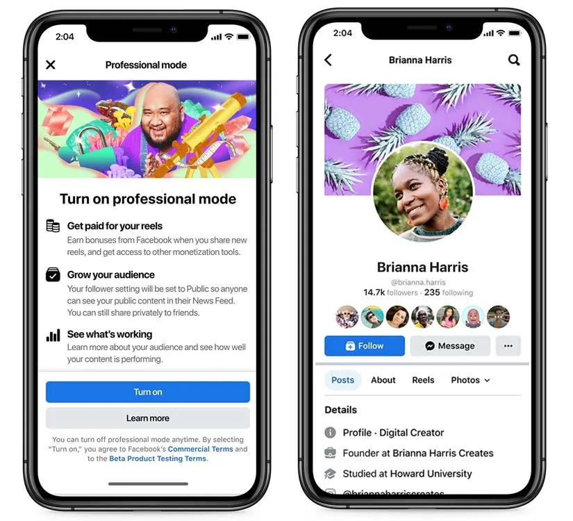 How To Turn On/ OFF Professional Mode On Facebook? 2 professional mode facebook sc