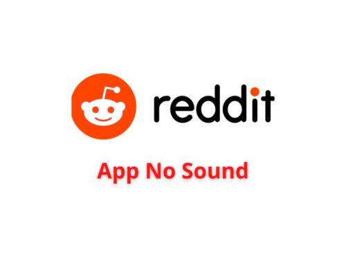 reddit app no sound