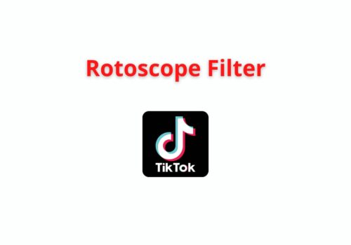 rotoscope filter tiktok